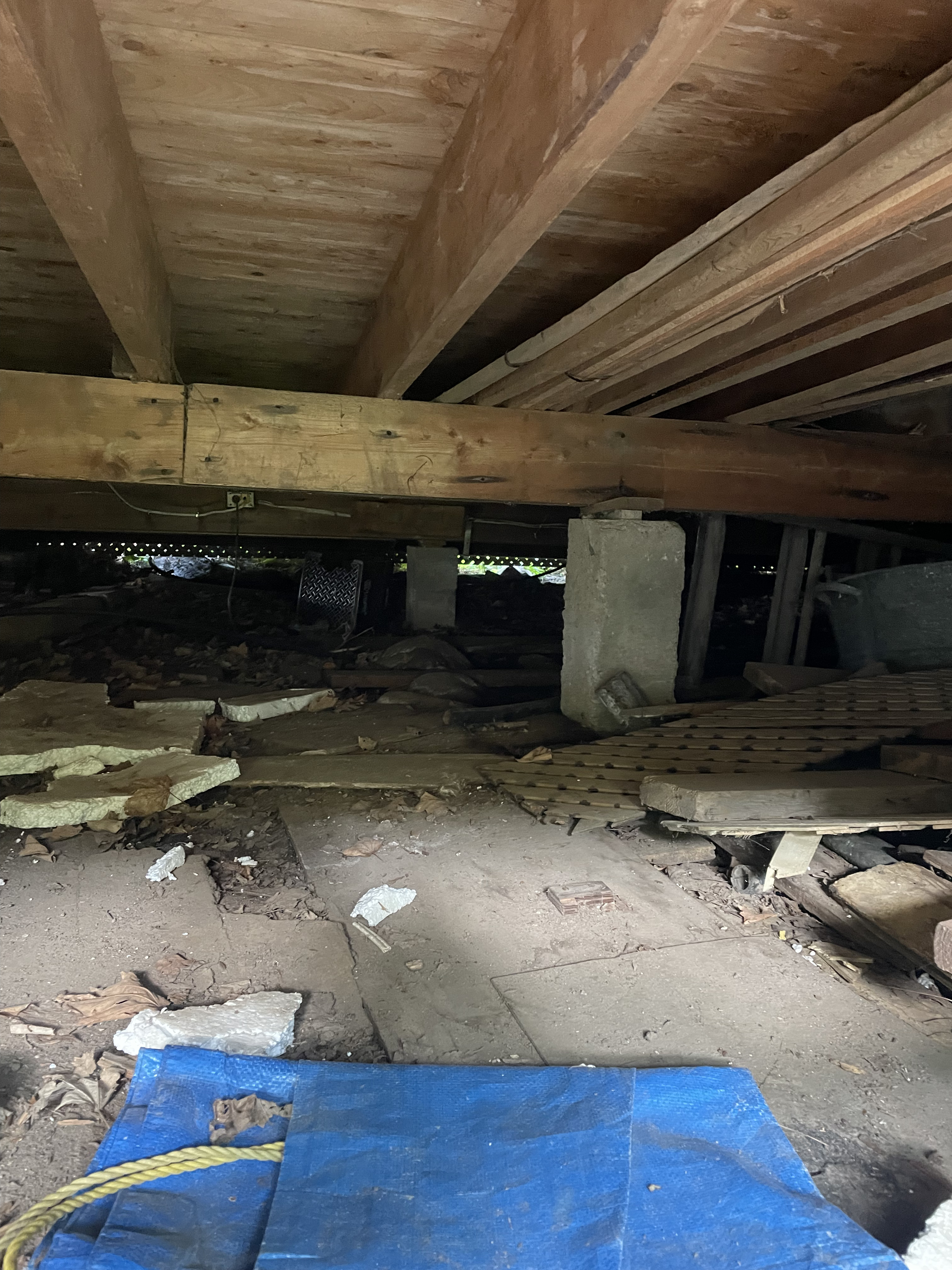 Buckhorn Home Before